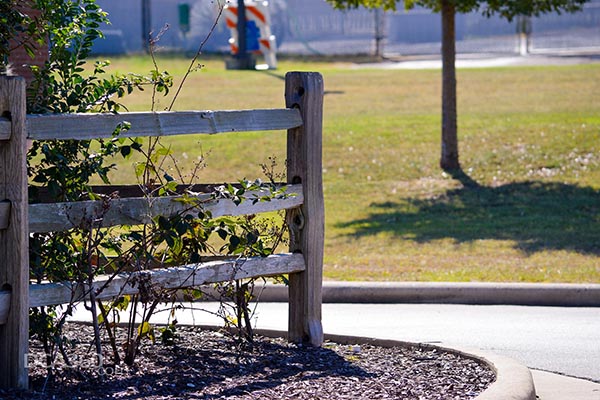 Recycling Christmas Trees Mulch